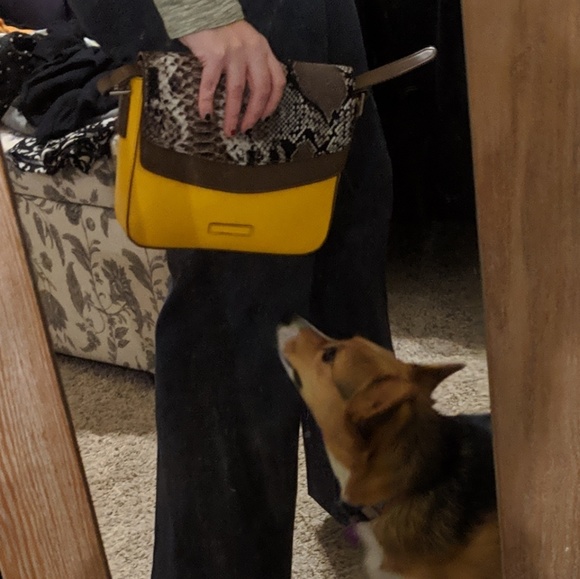 Vera Bradley crossbody - Picture 2 of 7